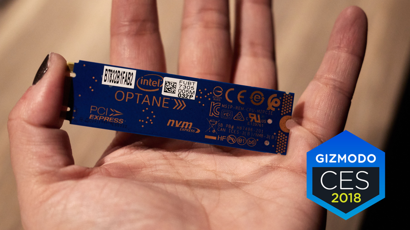 Image: Alex Cranz/Gizmodo